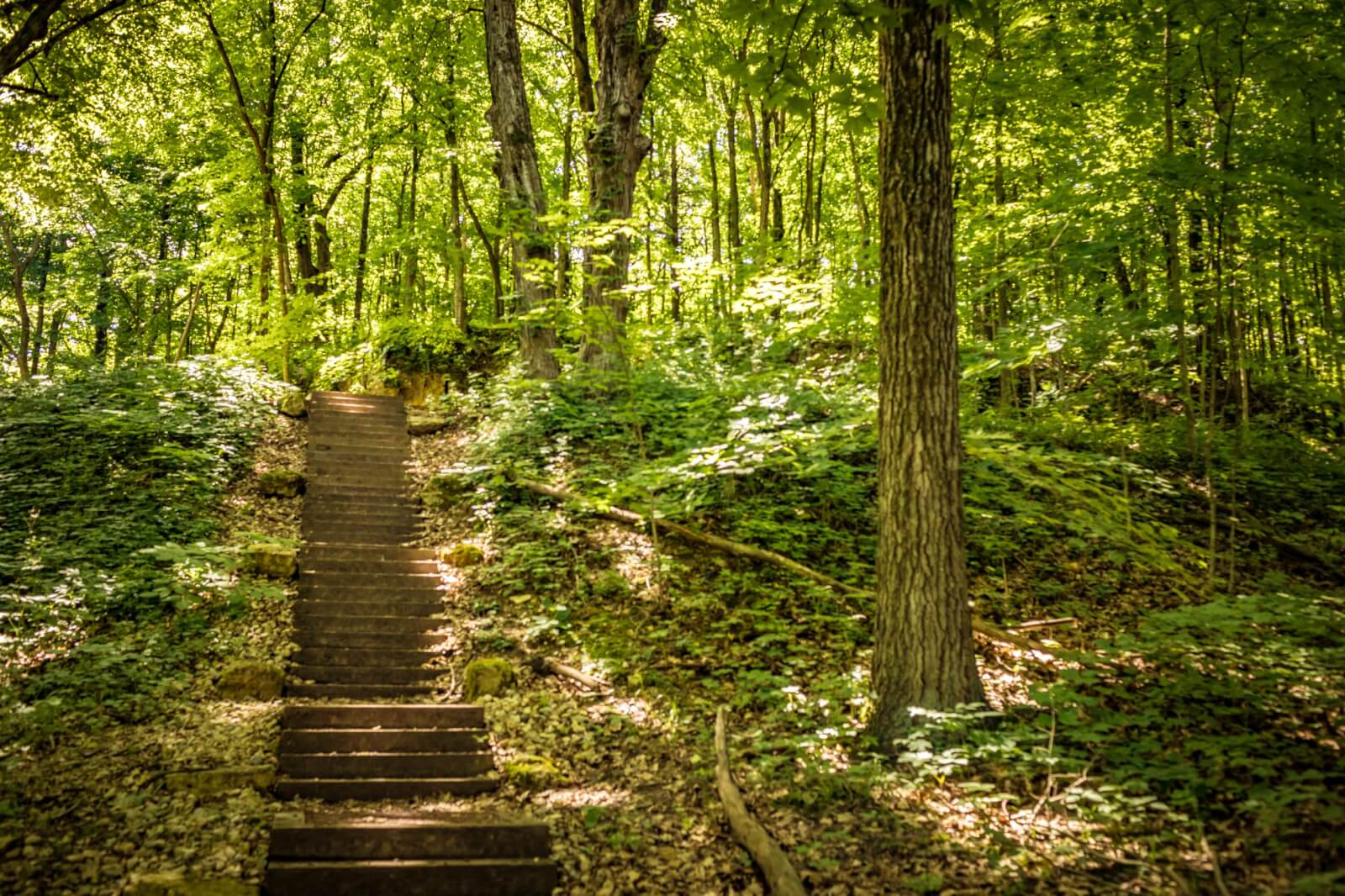 Feel big hill park trails