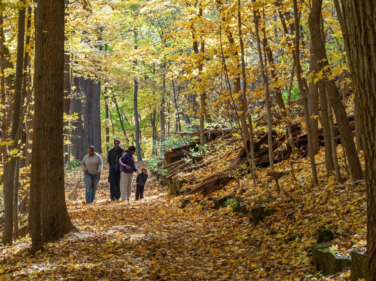Top Things to do in Fall Top Things to do in Fall