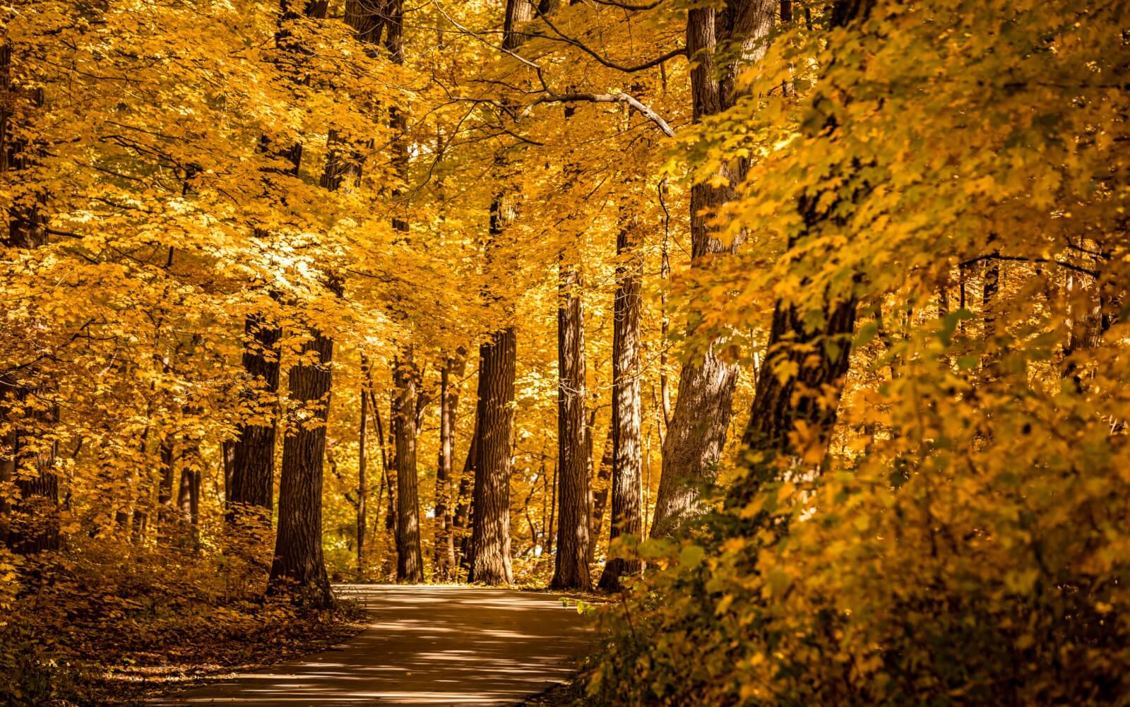 The Ultimate Midwest Girlfriend Getaway: Beloit and La Crosse, Wisconsin The Ultimate Midwest Girlfriend Getaway: Beloit and La Crosse, Wisconsin