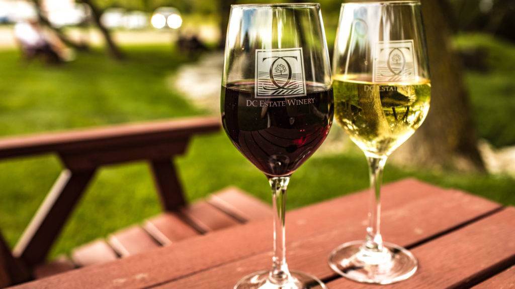 Top Things to do in Fall DC Estate Winery