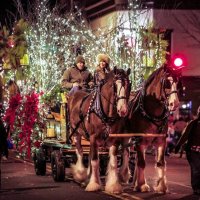 Grand Lighted Holiday Parade