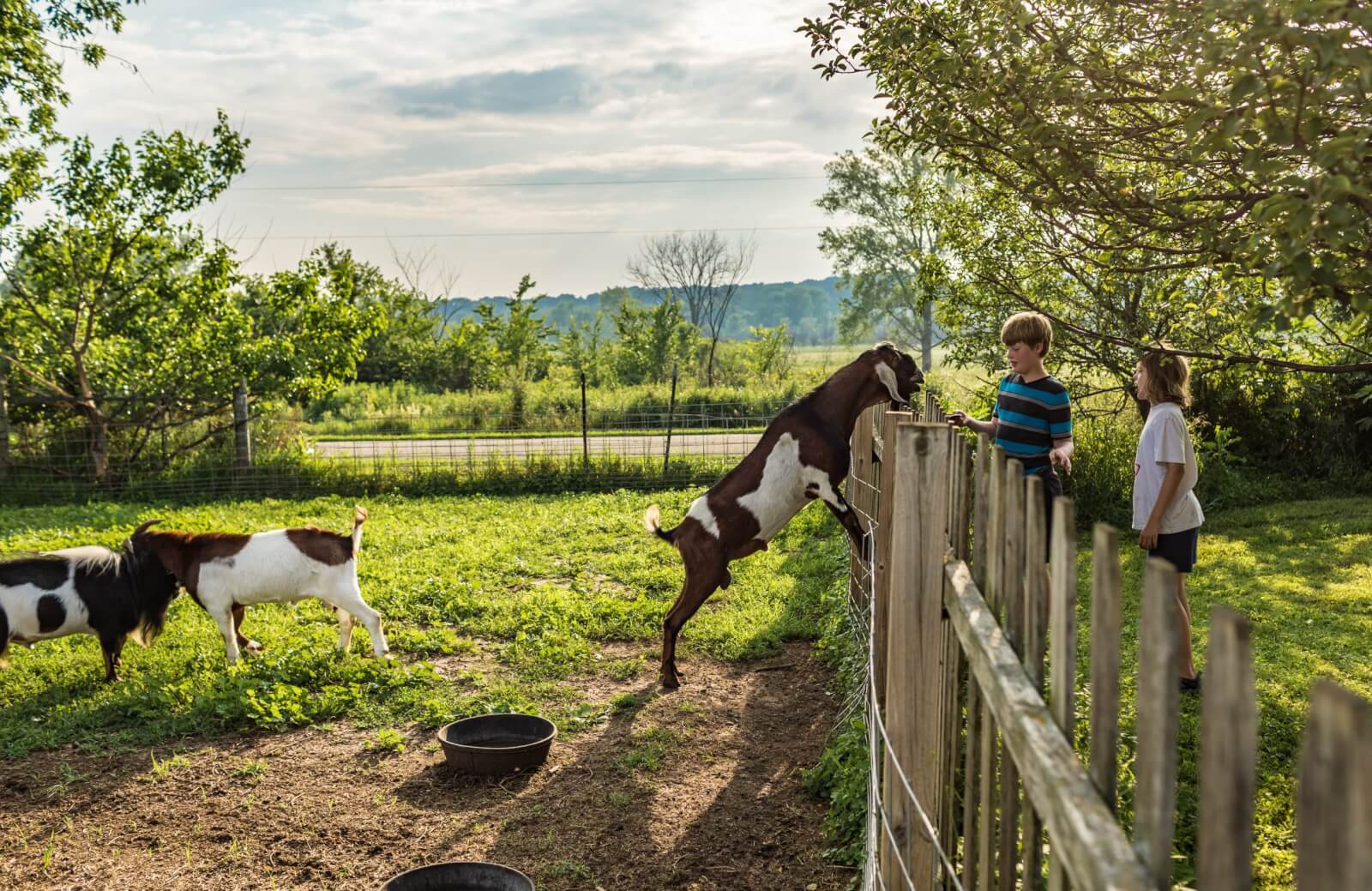 Media Room Kids at Double B Farm