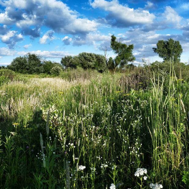 Fun Things To Do Outside gabower-reilly reserve