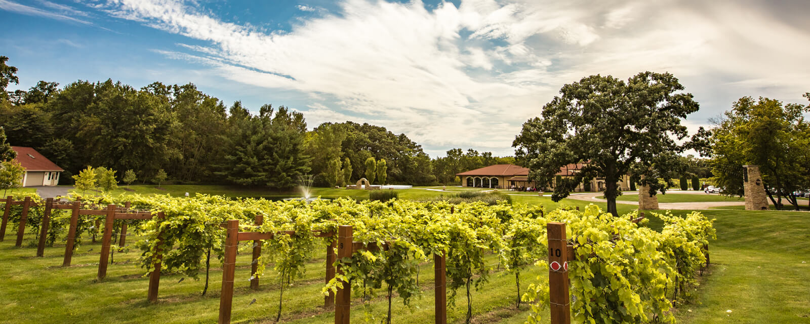 Wineries Craft Beer and Bars in Beloit WI