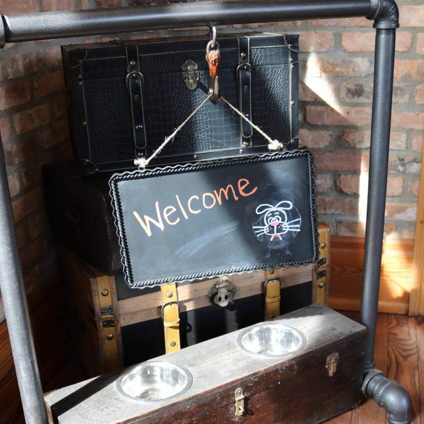 Ironworks Hotel Dog Friendly Beloit
