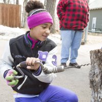 Maple Sugar Fest