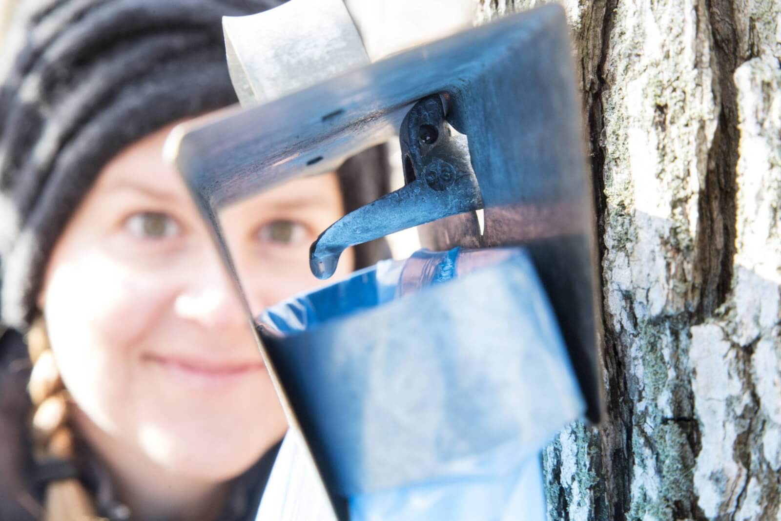 Maple Sugar Fest Maple Sugar Fest