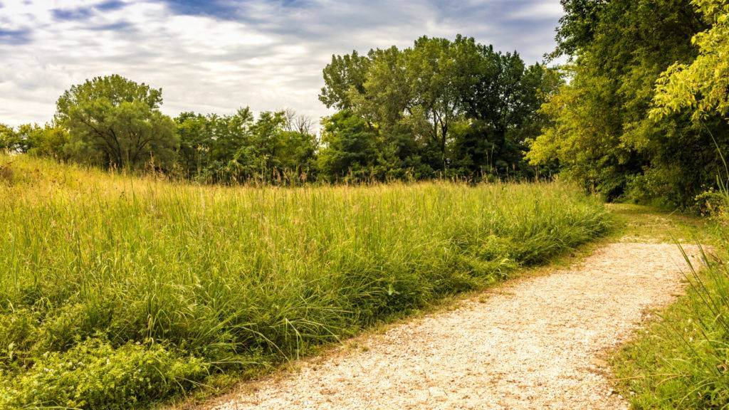 Top Things to do in Fall Nature at the Confluence