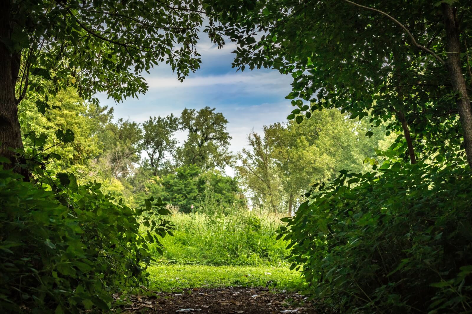 The Top 10 Places to Propose in Beloit The Top 10 Places to Propose in Beloit