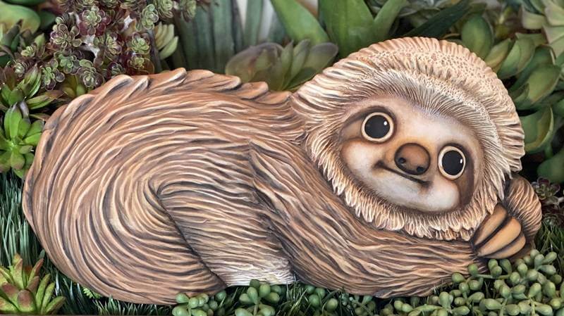 Shop Local Unique Shops In Beloit sloth at Marcella's