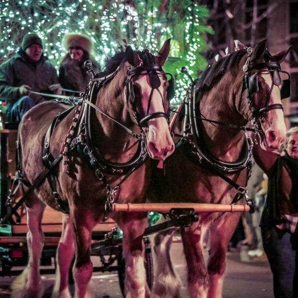 Welcome to Downtown Beloit Grand Lighted Holiday Parade