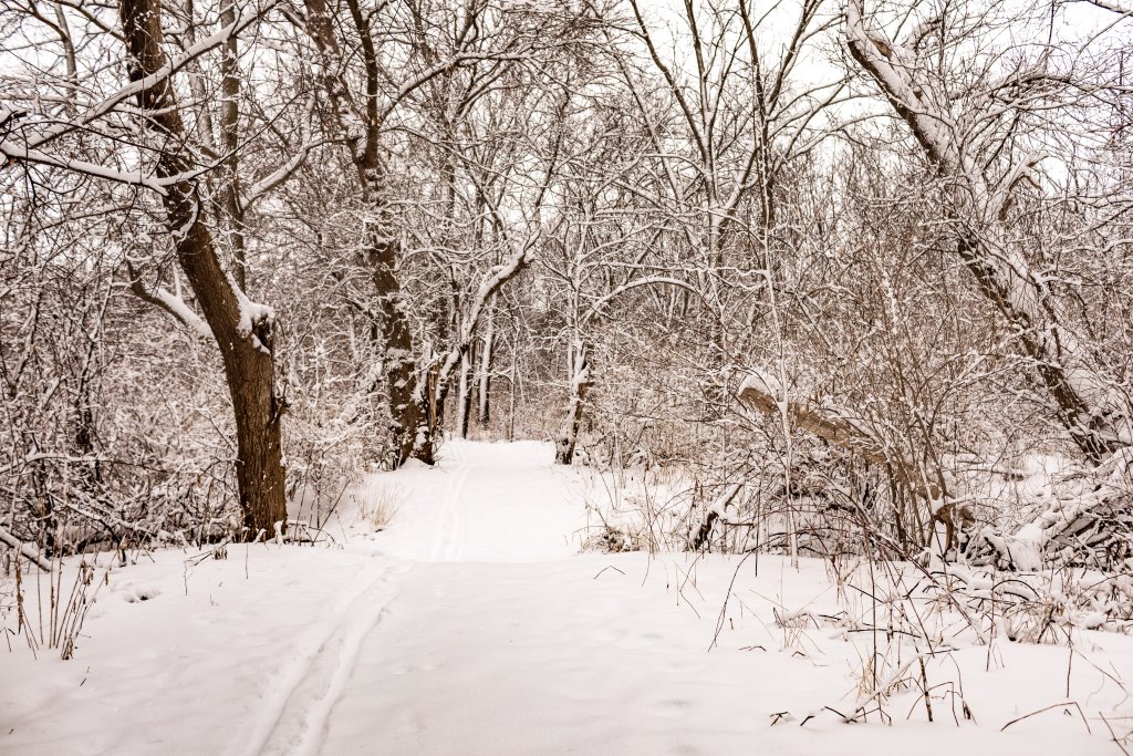 Top Things to Do in Winter in Beloit Top Things to Do in Winter in Beloit