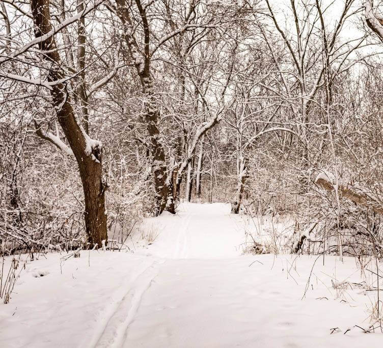 Trails in Beloit Winter Trail in Beloit