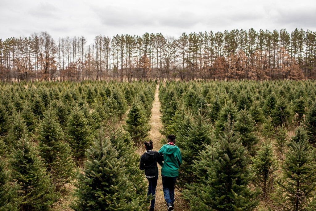 Top Things to Do in Winter in Beloit A couple walk arm in arm through the Christmas trees at Williams Tree Farm