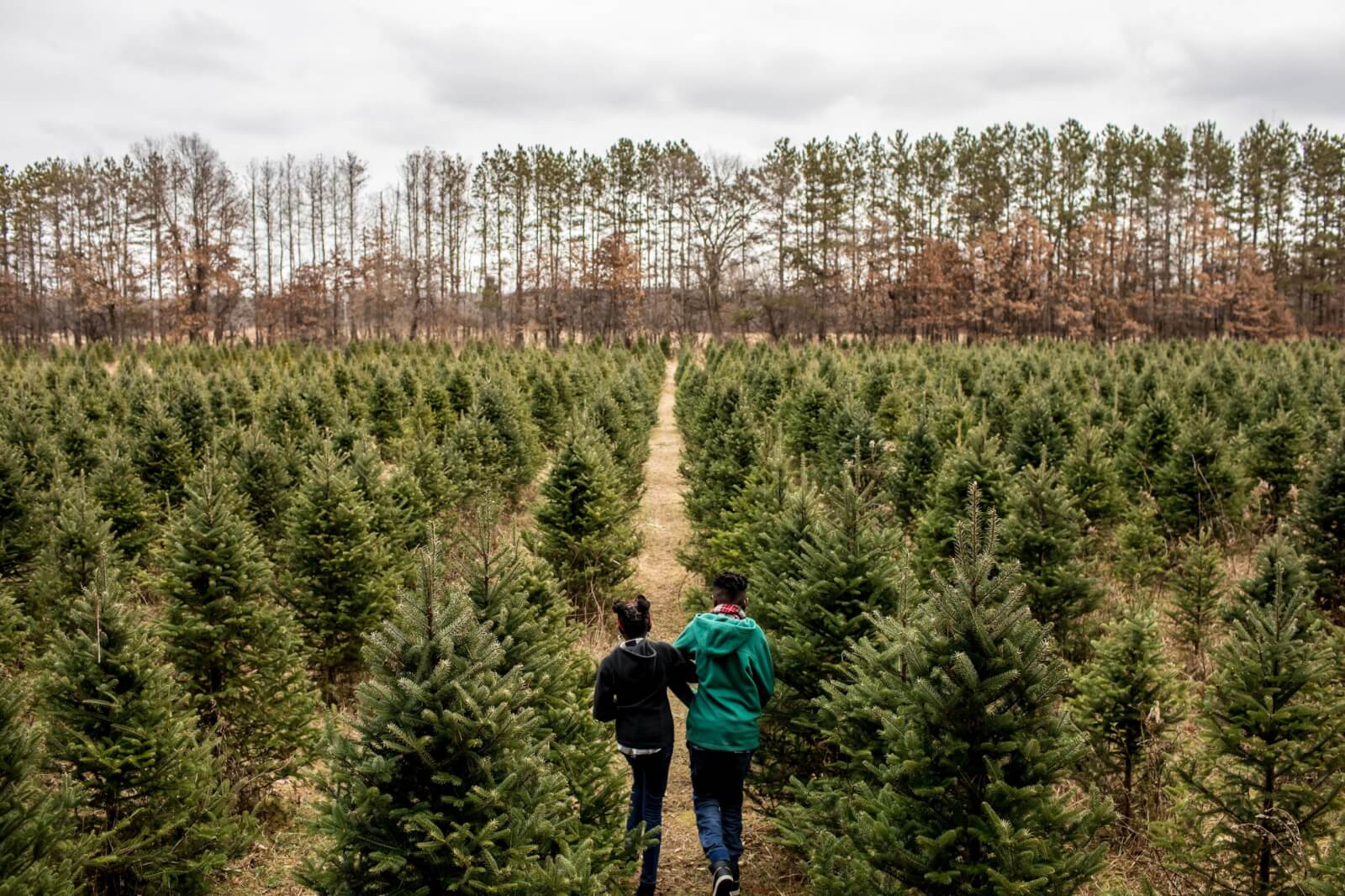 Nature & Outdoor Recreation Enjoy the Great Outdoors in Beloit Wisconsin at williams tree farm